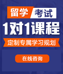 小骚穴大肉奶网站留学考试一对一精品课